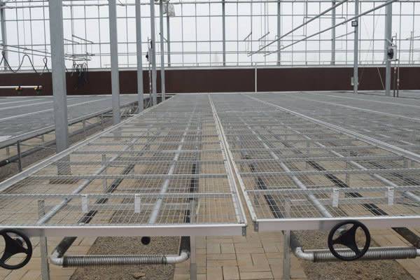 镀锌苗床网价格 温室苗床网现货 麒麟