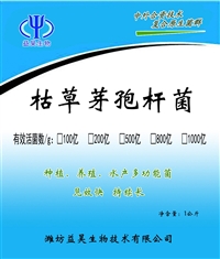 益昊生物厂家直销1000亿/克枯草芽孢杆菌，生物肥料用菌种