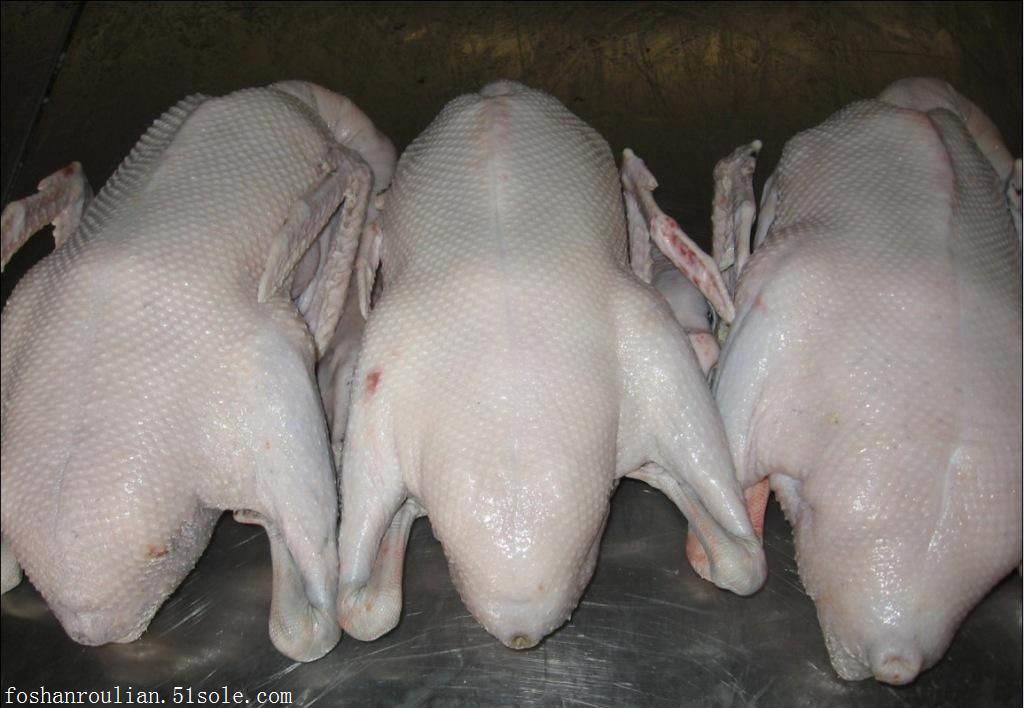 厂家/品牌 生态鹅业 品种 其他 用途 肉鹅 体重 5000g 成活率 100% 全