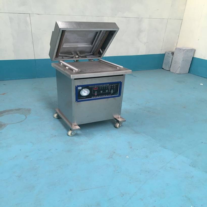 海诺dz-400/2l鸭货真空包装机 海诺牌抽真空机小型家用