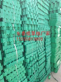 欢迎阅览铜川4公分停车场植草格铜川厂家2018环保