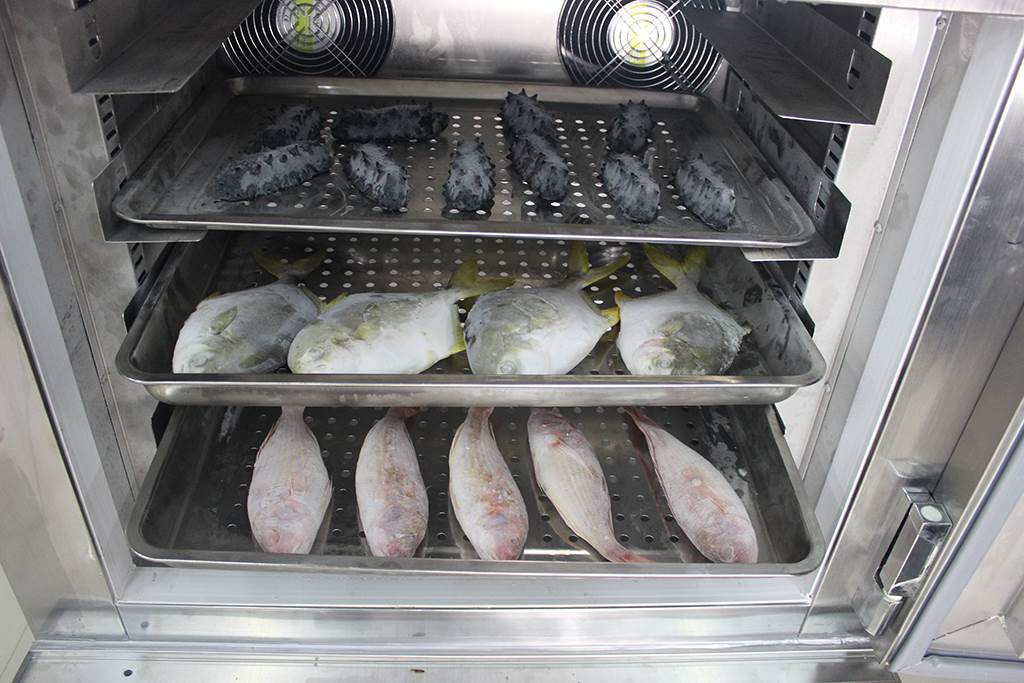 速冻柜 超低温冷冻柜 饺子海鲜肉类面包速冻柜 速冻柜价格