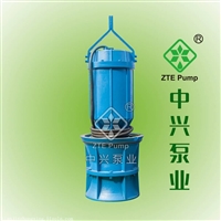 中兴700QZB系列潜水轴流泵