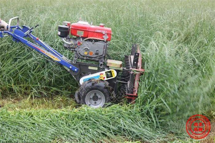 皇竹草割稻机  手扶式艾草收割机
