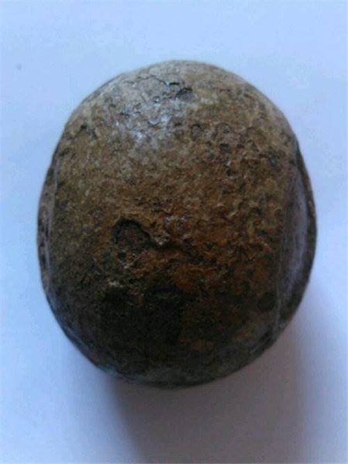 驴宝哪里可以私下交易