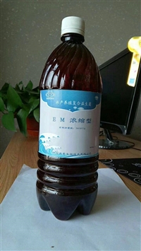 海参养殖用em菌 调水净化水质益生菌