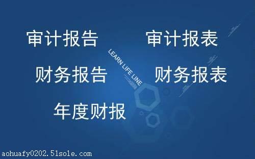 渭南代做代寫年度審計報告財務報表