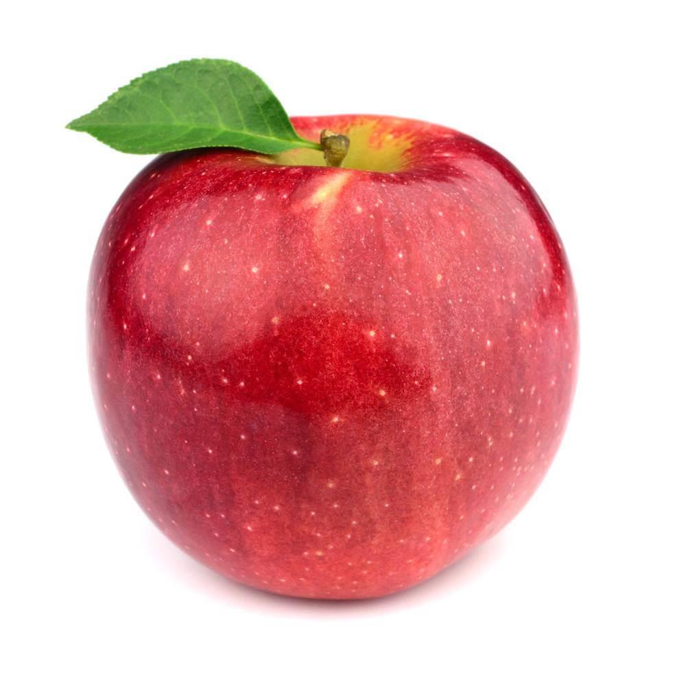 提供波兰苹果进口资质清关公司