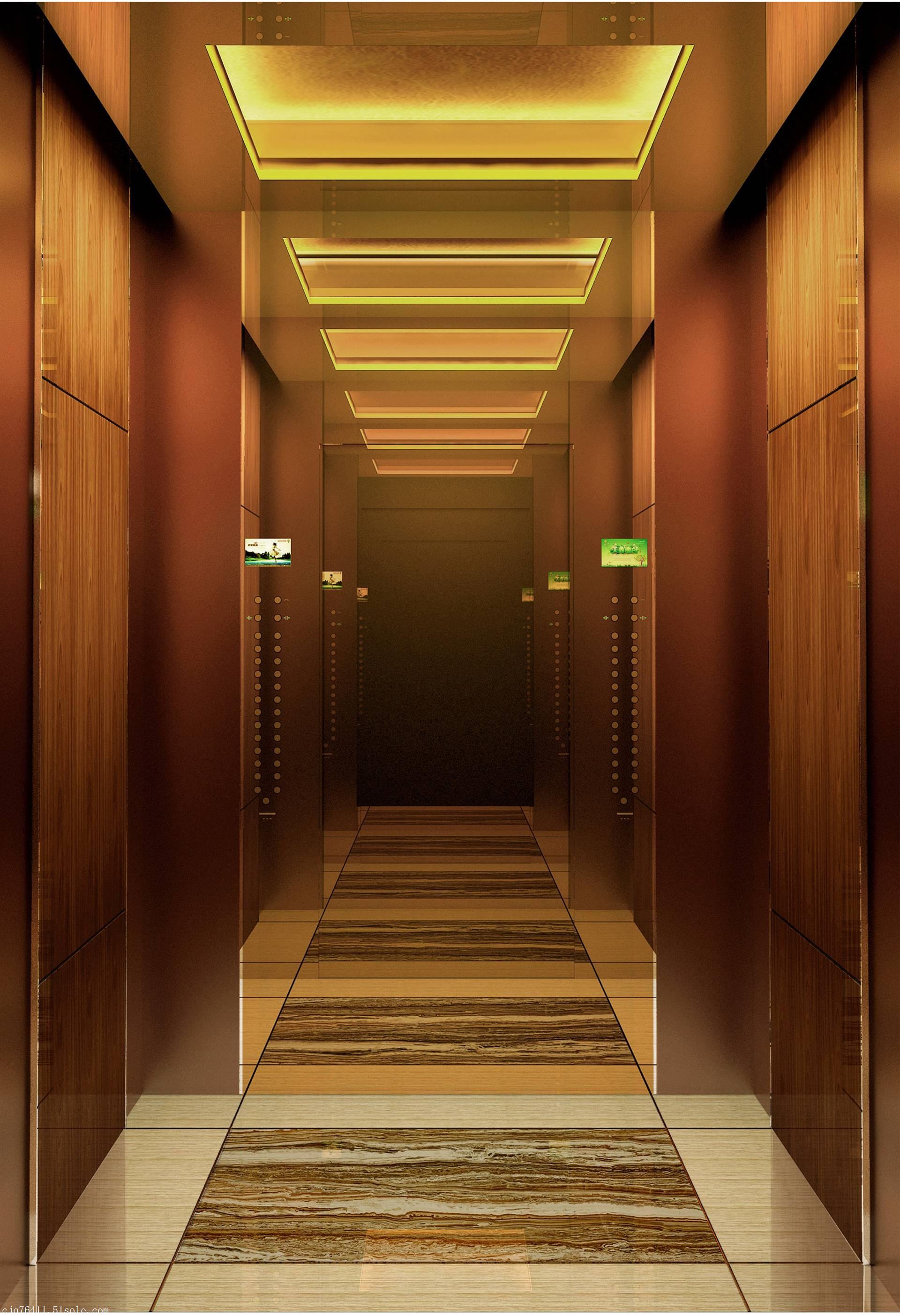 晋江别墅电梯装潢|别墅电梯装修|别墅电梯装饰