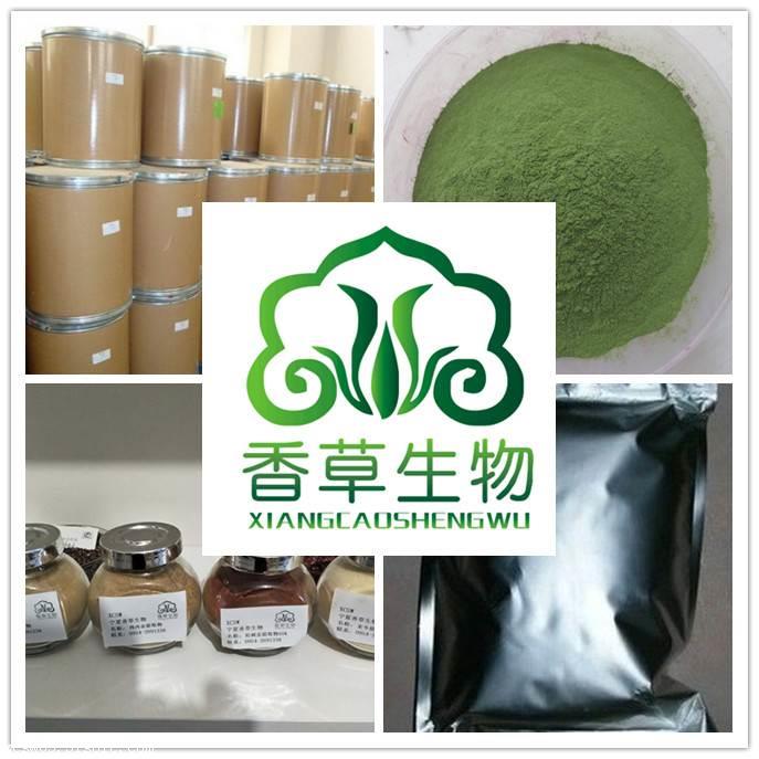 酸枣仁提取物10:1多糖 浸膏粉   量大从优 