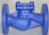 德国沃德WODE进口蒸汽止回阀 进口止回阀品牌
