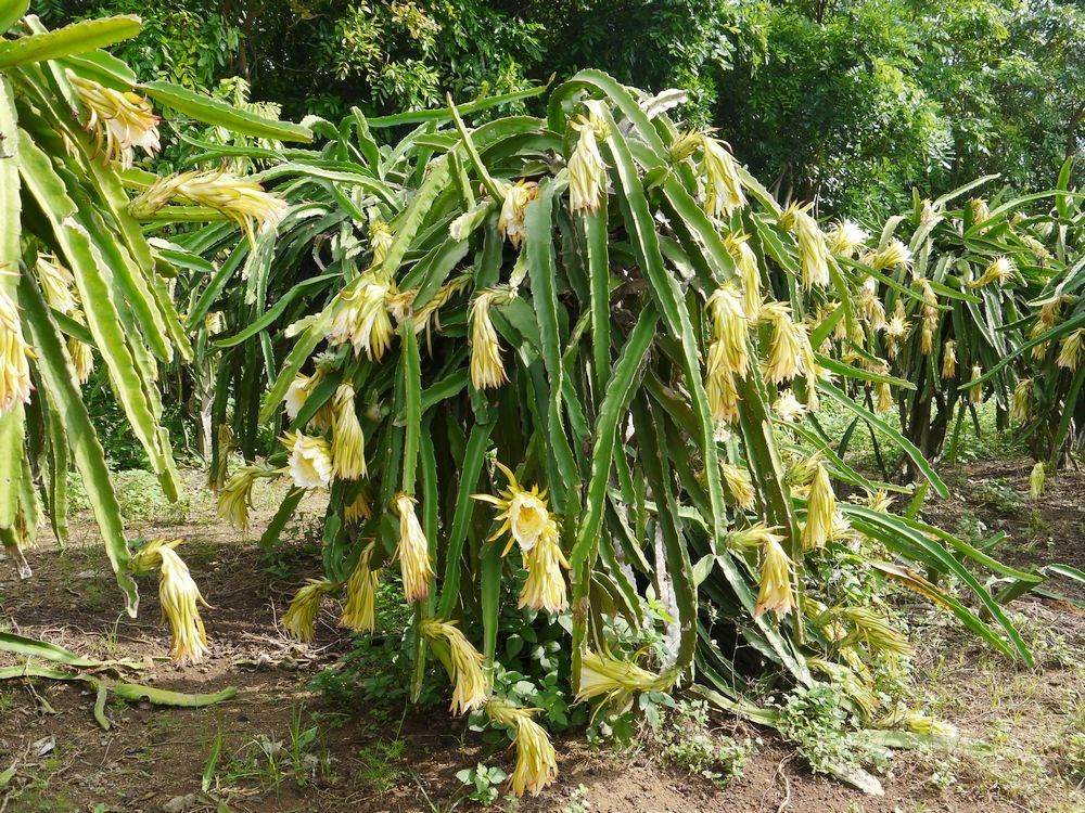凯能的热泵烘干烘干机
