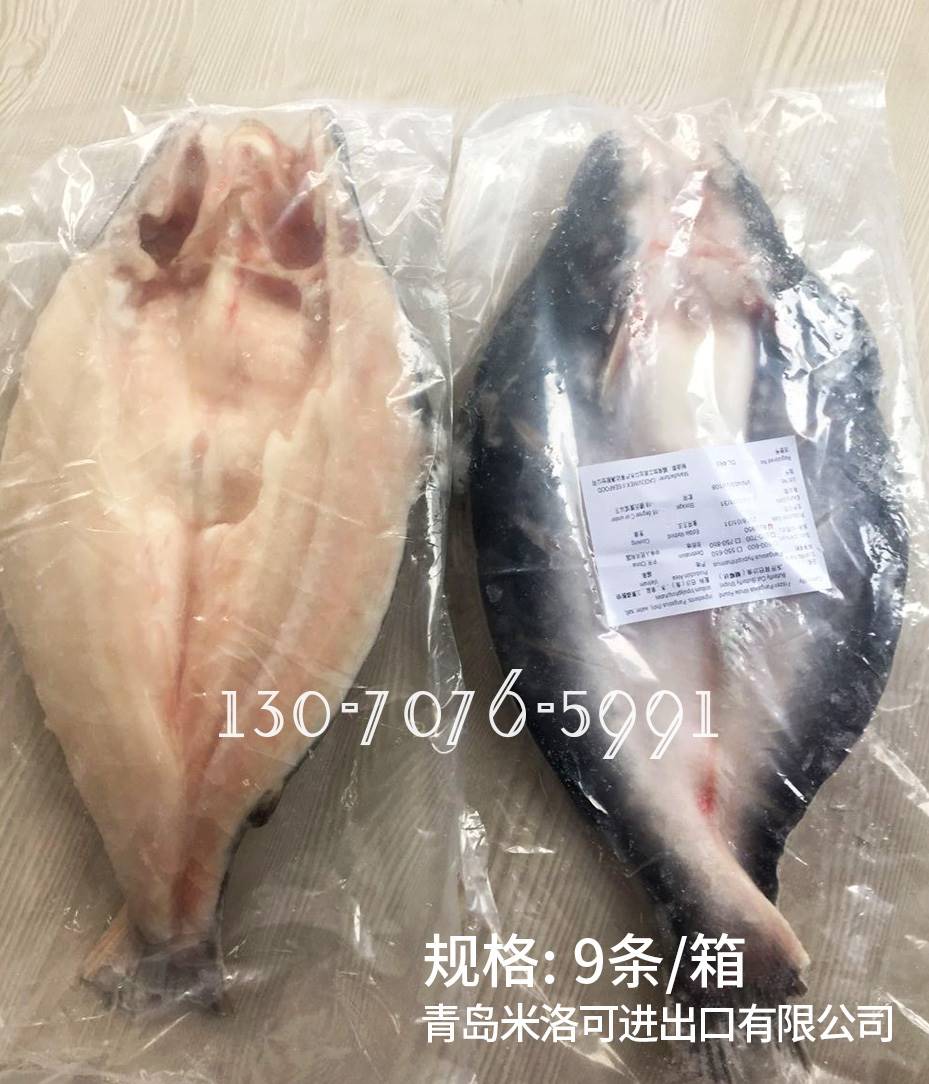 越南進口冷凍 巴沙魚柳 龍利魚柳 巴沙魚片 餐飲連鎖原料批發