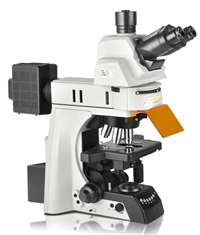 东莞电动荧光显微镜 显微镜价格 光学显微镜