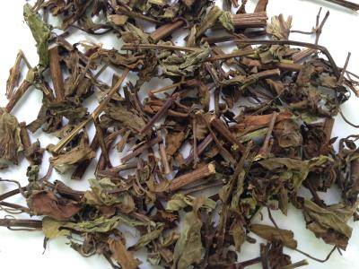 猫须草多少钱一斤