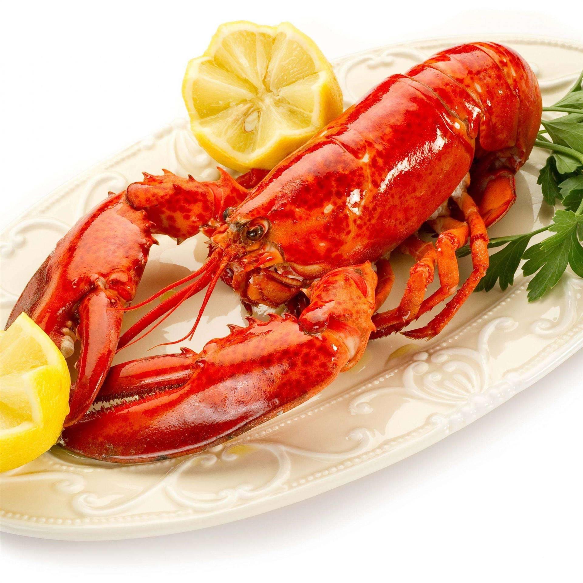 厦门印尼龙虾进口报关行/清关服务公司