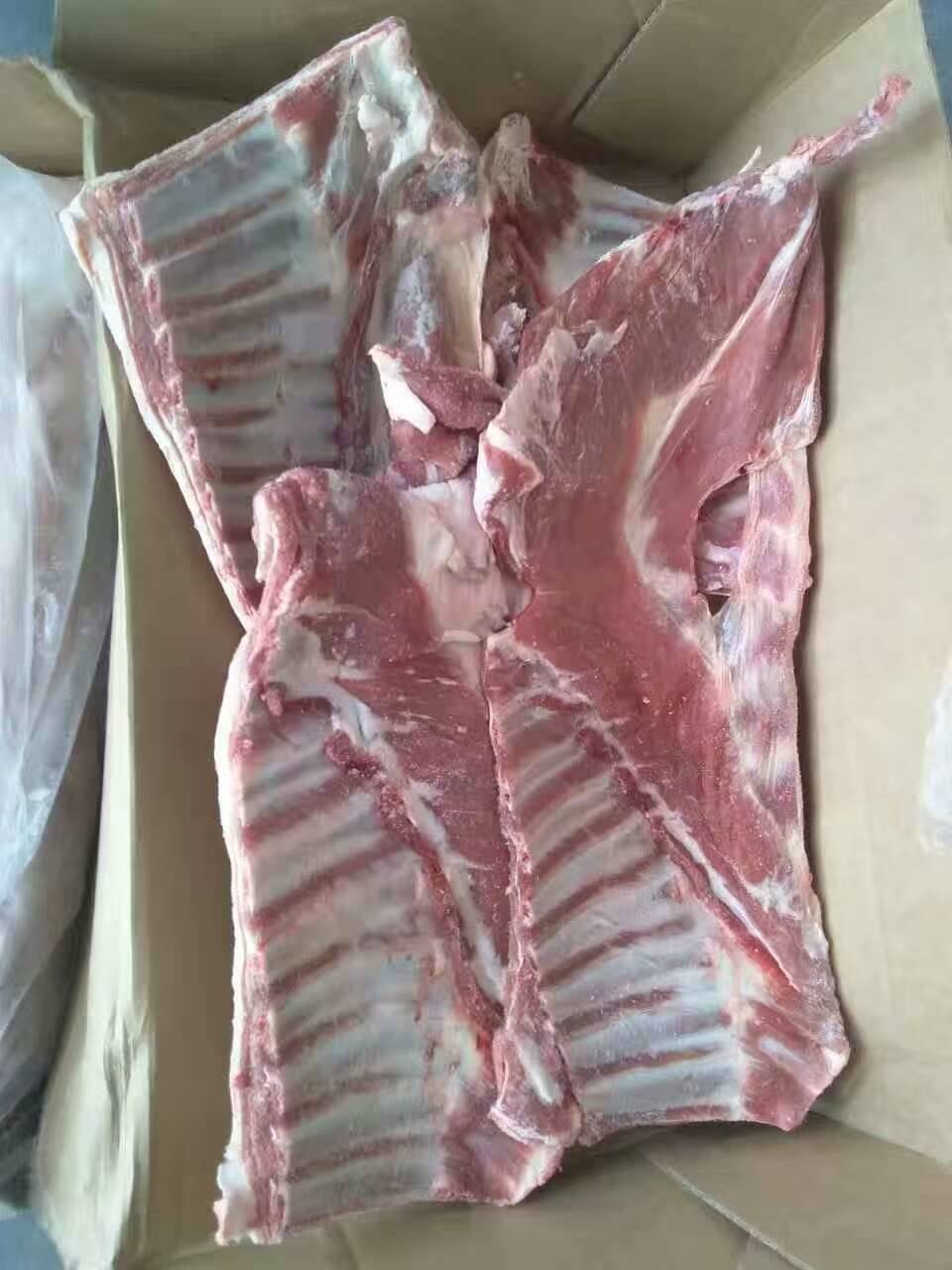 冷冻羊前腿小羊带骨 昆明羊腰窝肉 冷冻批发厂家