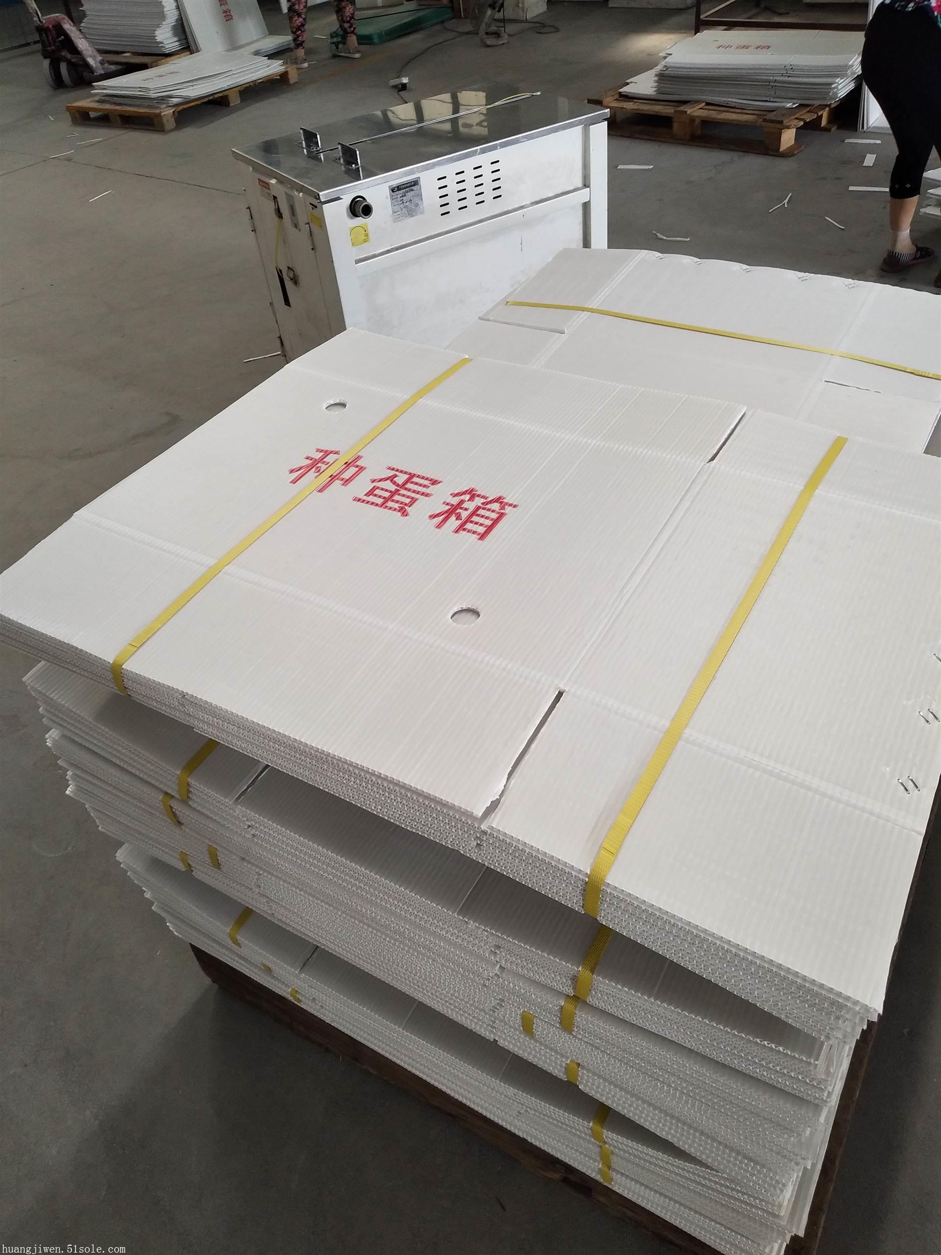 江门市水果钙塑箱金针菇包装箱