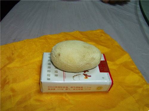 狗宝在收购交易会上的行情