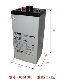 复华蓄电池保护神系列工厂