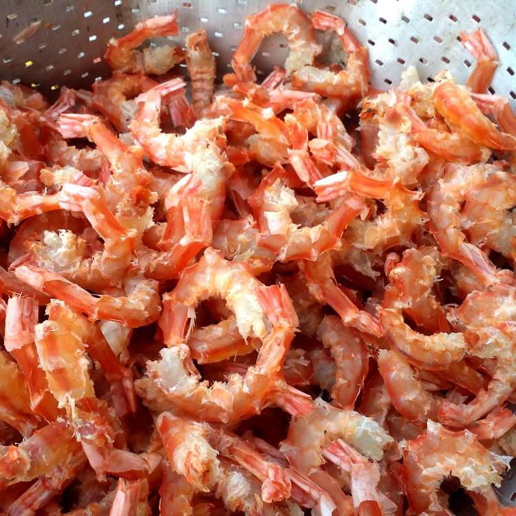 海米批发金钩海米北海