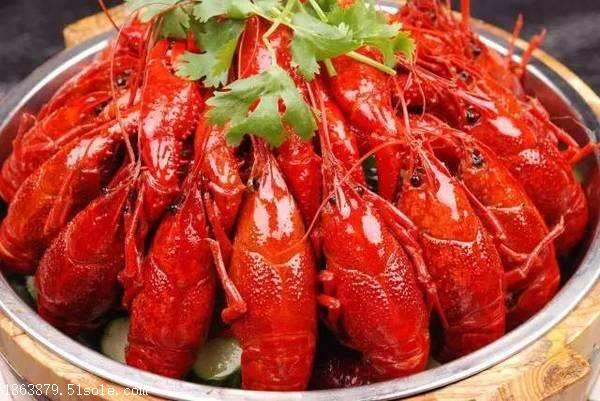 我想学做卤龙虾技术,正宗卤龙虾技术培训