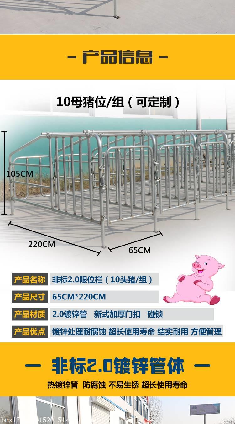 母猪定位栏设计图纸图片