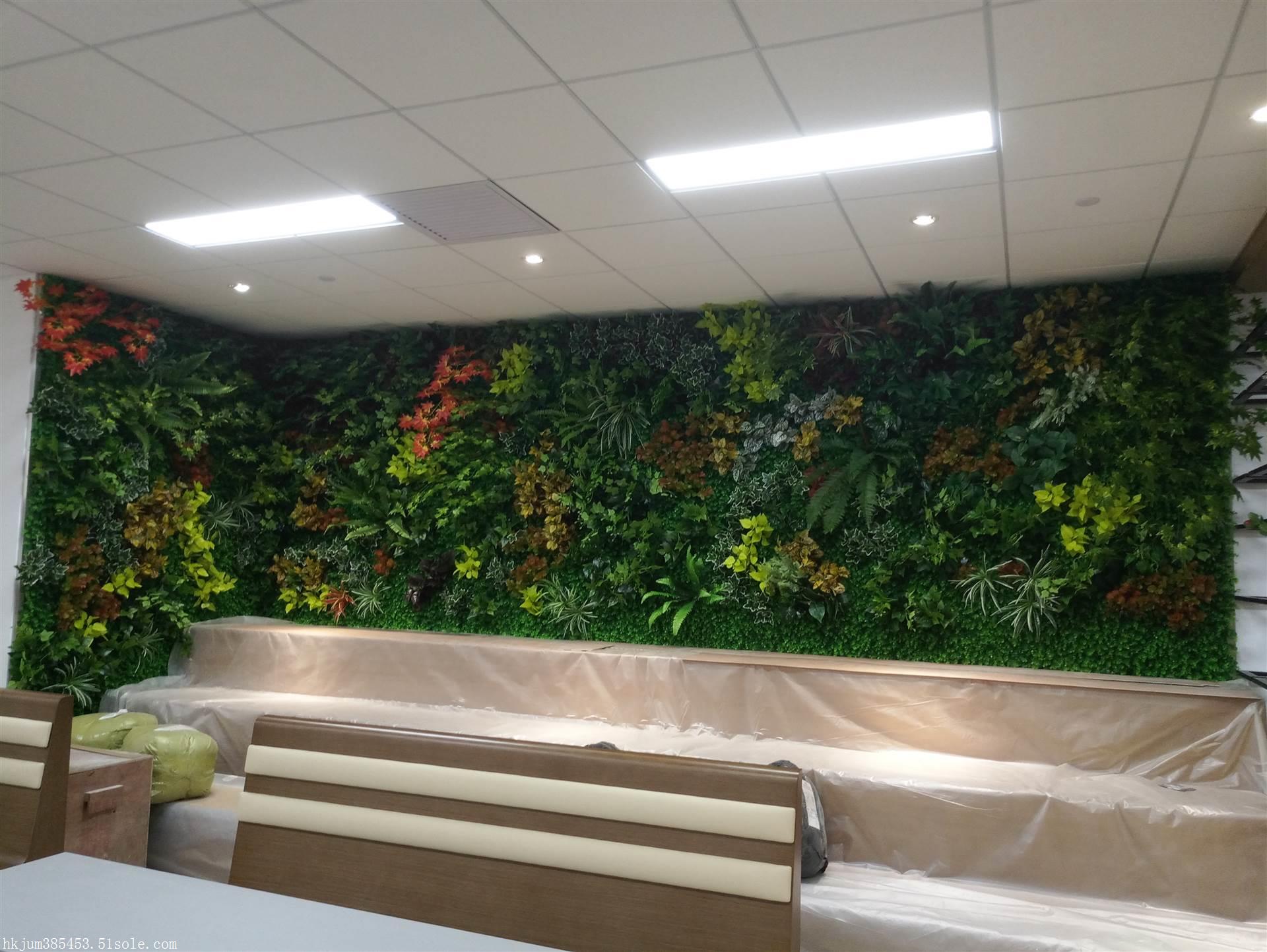 佛山绿植墙公司