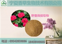 突厥蔷薇花提取物10:1多种规格 蔷薇果提取物 蔷薇花浸膏粉1kg起