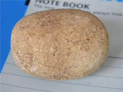 狗宝哪里交易拍卖快且安全