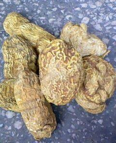 【中药材金果榄的功效   金果榄批发价格】价格,厂家,粮食作物种子