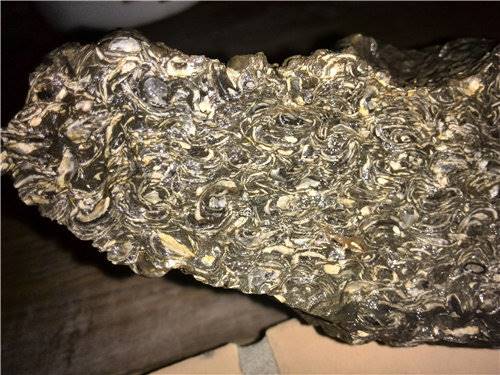 关于贝壳化石上门收购的知识