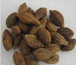 【诃子价格   诃子功效】价格,厂家,粮食作物种子