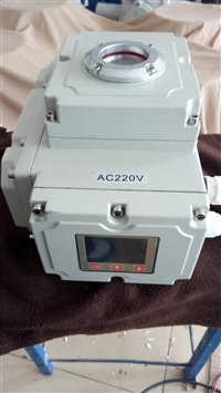 扬州瑞浦DCL-20精小型电动执行器