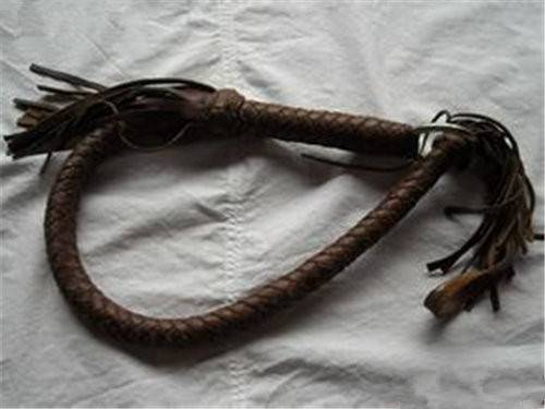 古代马鞭价格报价今年市场走势