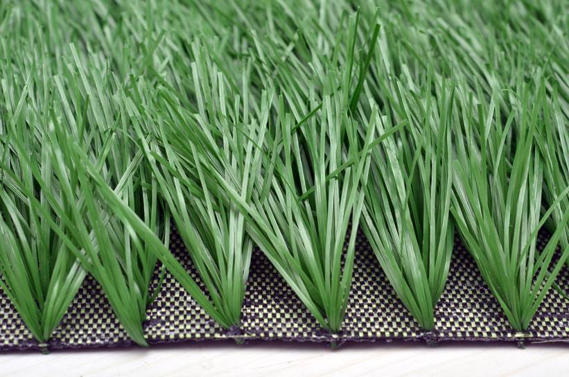 d:my documents美图图库运动草g04(1)