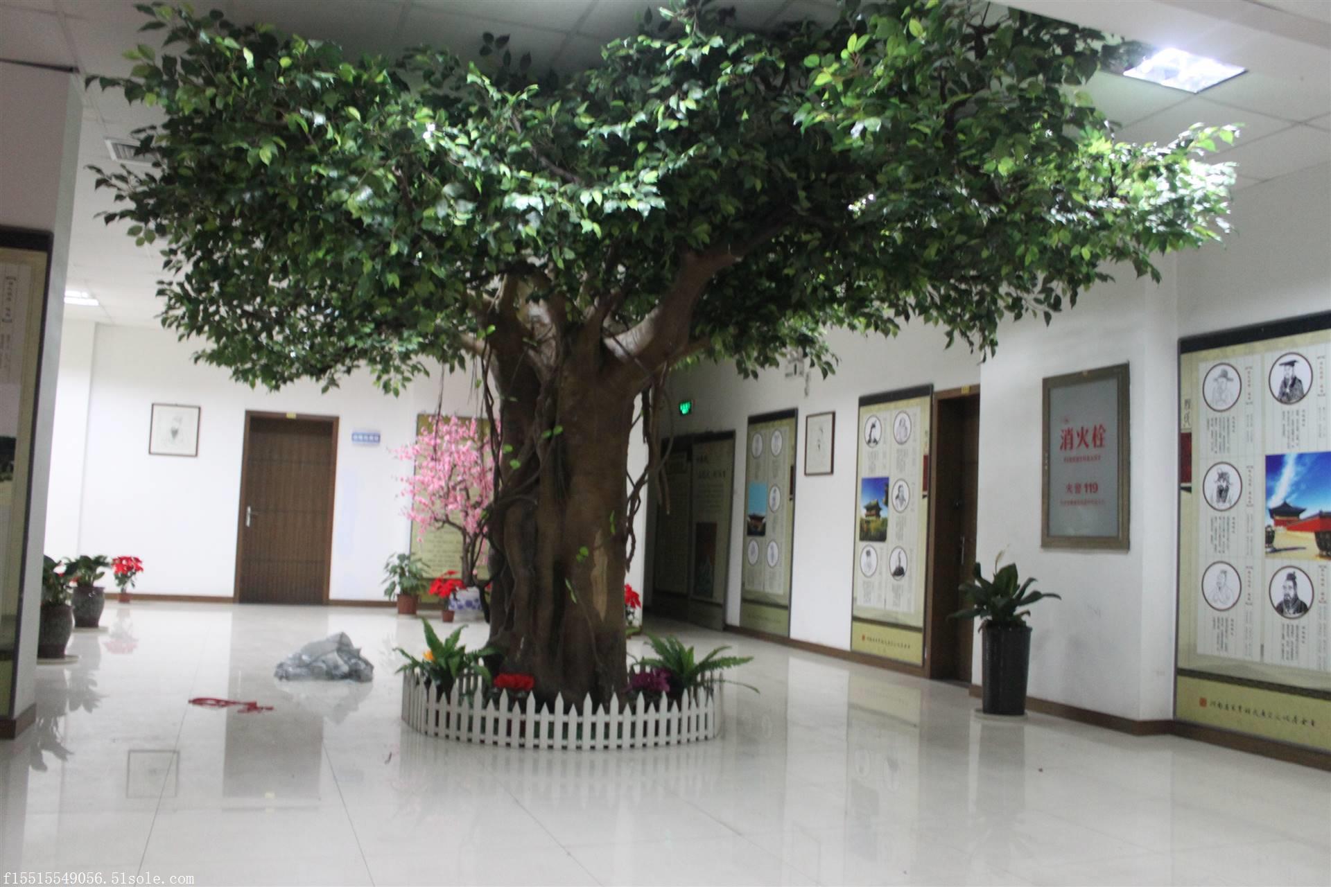 枫林榕树草坪桃花树藤条