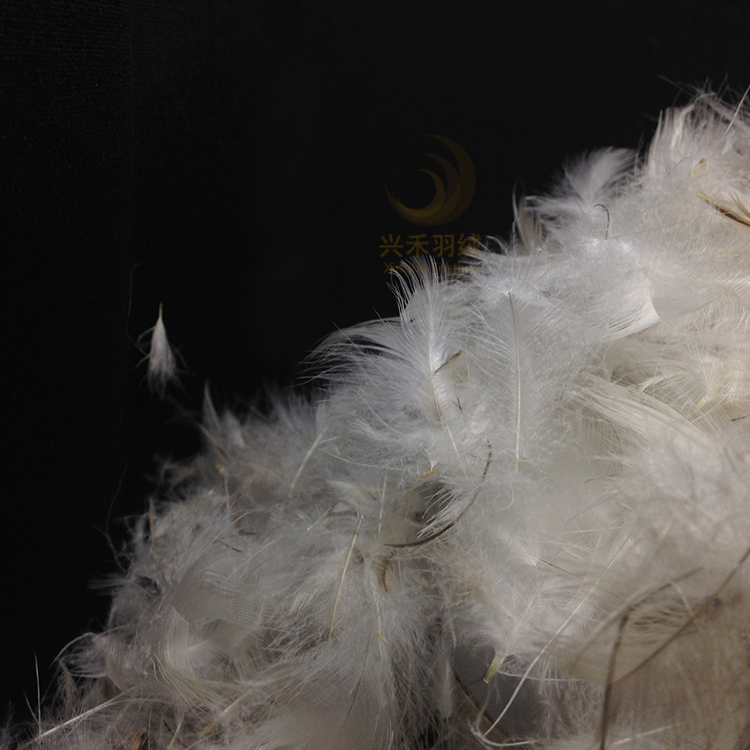 供应水洗纯白鸭毛 羽绒 鸭绒 水洗羽绒