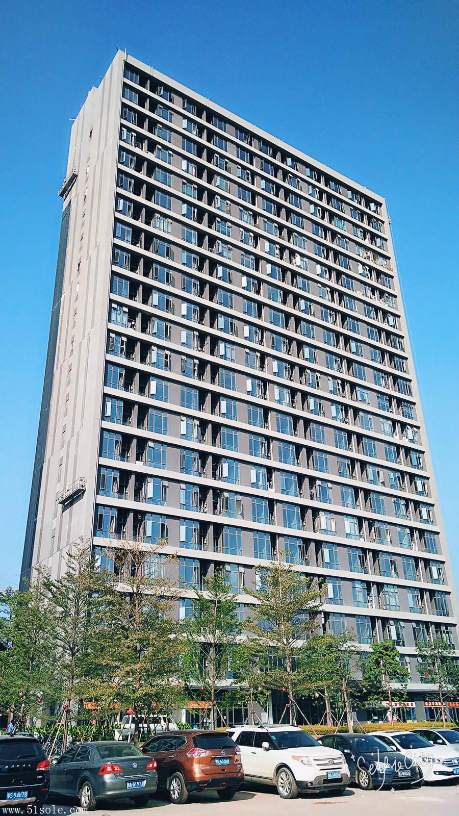 公司图片(100张)