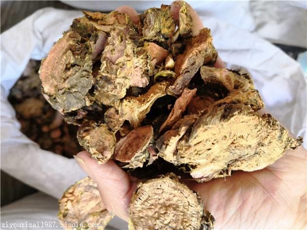 千金子霜a建阳千金子霜a千金子霜厂家批发