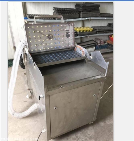 点籽机 点播机 穴盘播种机--常州风雷