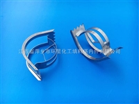 不锈钢矩鞍环填料