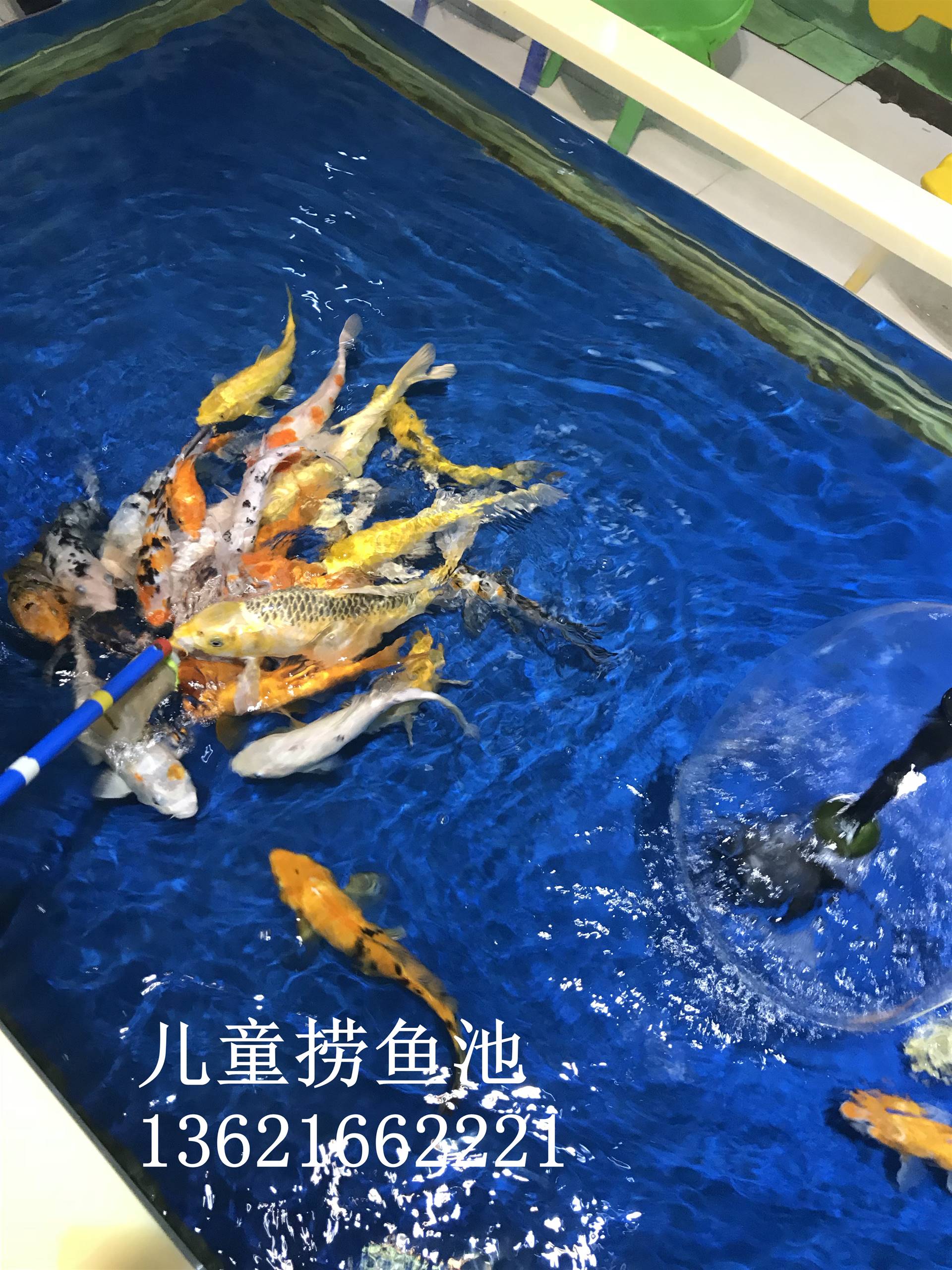 西藏哪家好电话