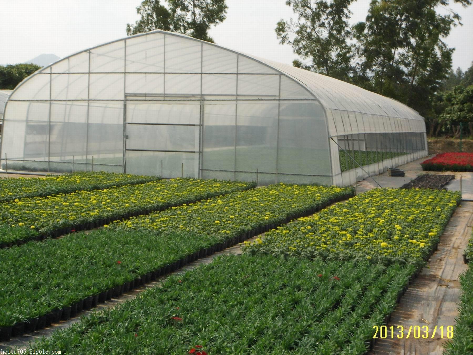 公司图片_厦门市黑土农业科技有限公司 - 搜了网