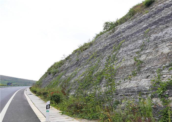 公路边坡防护网,公路边坡护坡网,公路边坡防护网厂家