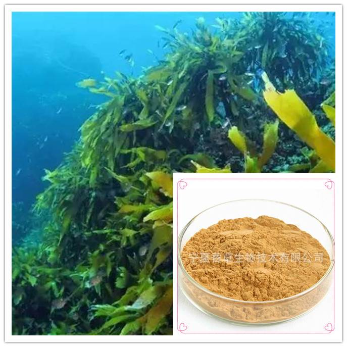 供应 化妆品级 皱波角叉菜提取物 皱波角叉菜速溶粉 质量保证