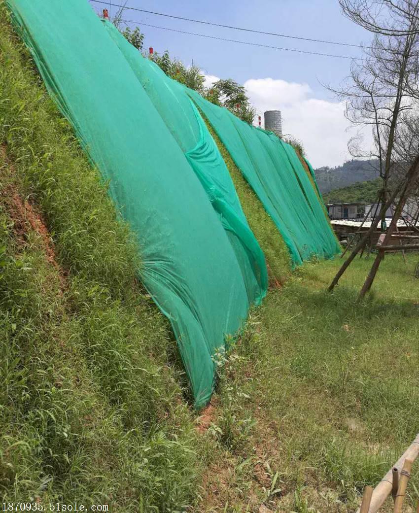 三維植被網護坡施工工序為:準備工作→鋪網→覆土→播種→前期養護.