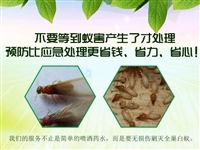 上海白蚁防治办 杀虫家庭灭蟑螂 当然选上格生物