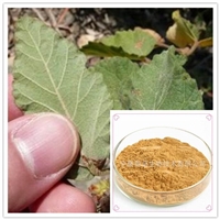 蛇婆子叶提取物10:1 蛇婆子叶浸膏粉 蛇婆子叶速溶粉 市场