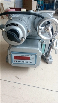 扬州瑞浦DKJ-4100D电子式电动执行器